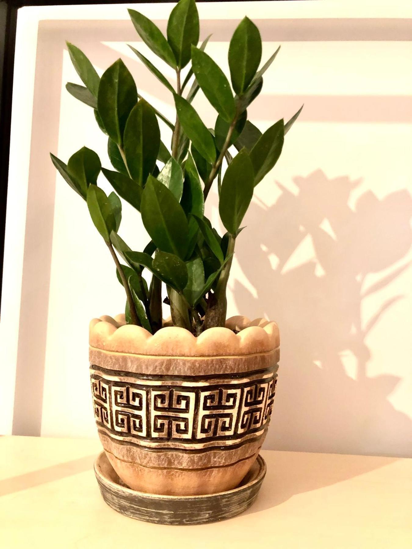 לבוב Osapart Cozy Apartment In A Complex Semycvit מראה חיצוני תמונה